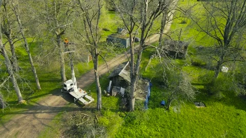 Arborist Cutting Tree Branches Using a Bucket Truck Aerial Lift Stock Footage 336600165