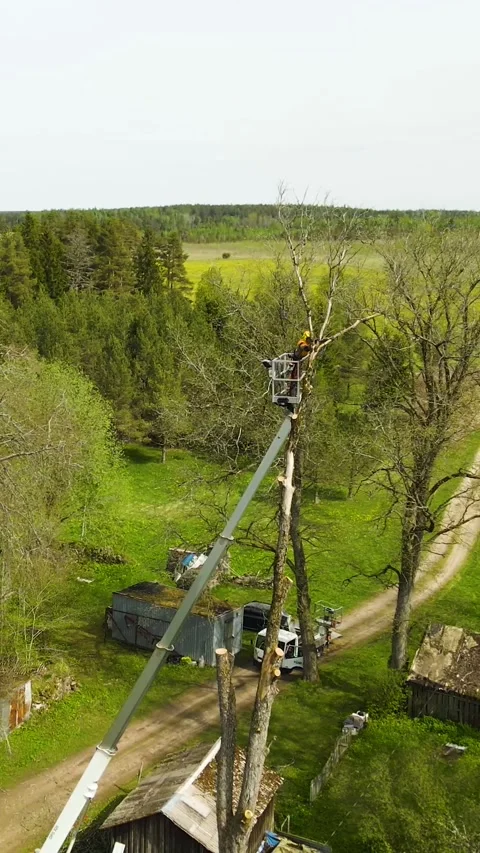 Arborist Cutting Tree Branches Using a Bucket Truck 動画素材 336600358
