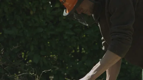 Arborist lumberjack cuts fallen tree trunk into rounds 04 Vídeo Stock 37017328
