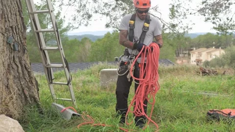 Arborist preparing climbing rope for tree pruning Stock Footage 302548497