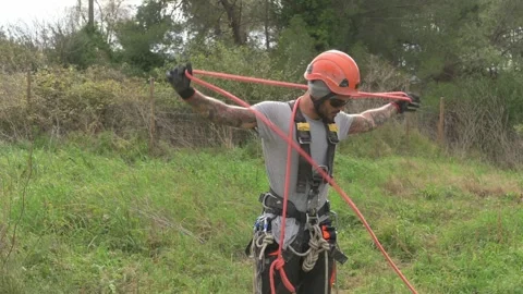 Arborist preparing ropes for tree climbing and pruning Stock Footage 302790330