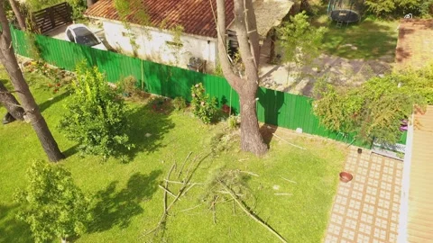 Arborist professional working climbing a tree in town, filmed with drone. 19 Video stock 160568900