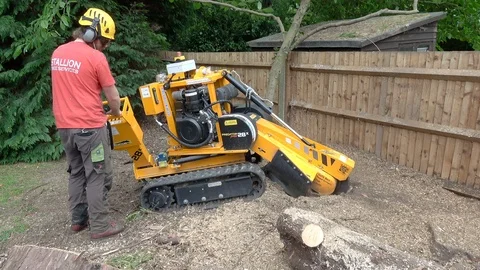 Arborist using a stump grinder Stock Footage 94348158