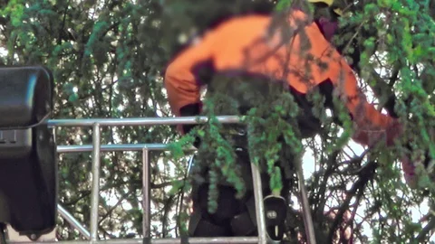 Arborist worker cutting branches with chainsaw Stock Footage 125158158