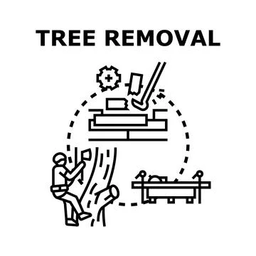 Arborist working, cutting down tree branches for removal Stock Illustration
