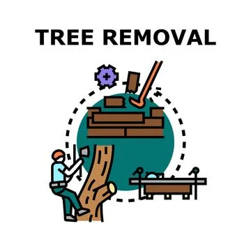 Arborist working, cutting down tree branches for removal Stock Illustration