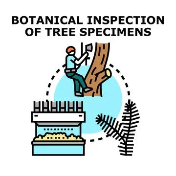 Arborist working on tree and wood processing industry loop 库存插图