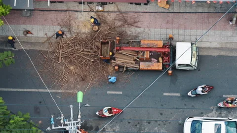 Arborists cleaning street after tree cutting operation Stock Footage 338001096