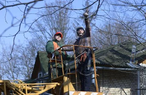 Arborists cutting branches of a tree with chainsaw using truck-mounted lift.. Stock Photos