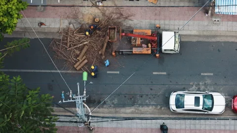 Arborists cutting down tree with chainsaw on urban street Video stock 338001398