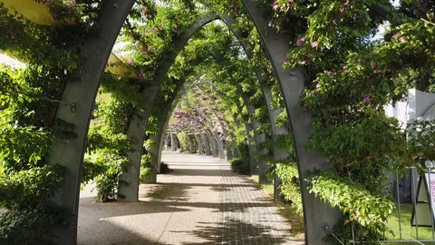 The Arbour - Brisbane Stock Footage 125549835