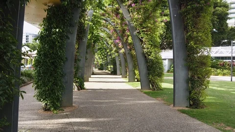 The Arbour - Brisbane Stock Footage 125549855