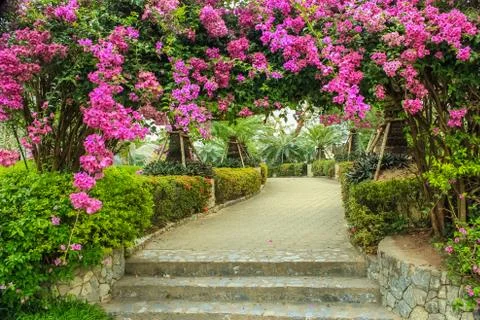 Arbour of flower Fotos Stock