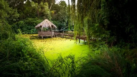 Arbour on the Small Danube Stock Photos