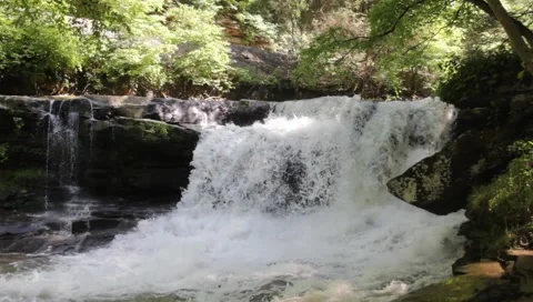 Arbuckle creek Stock Footage 5323966