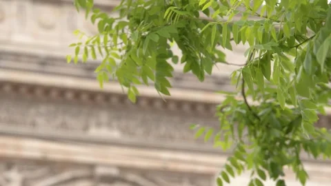 Arc de Triomphe Monument Viewed Through Green Tree Leaves in Paris Stock-Footage 342231174
