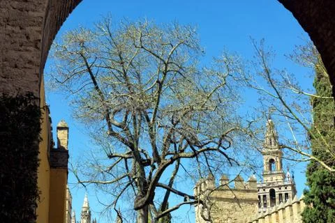 Arc framing the upper part of the Cathedral of Seville, Spain Stock Photos