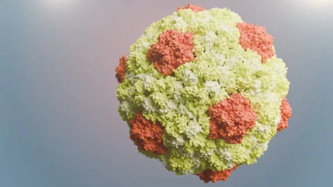 Arc neuronal protein. Stock Footage 314515034