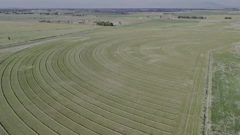 Arc Repeating Grass Hay Lines in Colorado Farmland Field, Aerial 4K Landscape Stock Footage 347919754