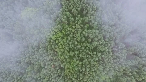 The arc is a secret object of the USSR, shot from above in the middle plan Stock Footage 154473589
