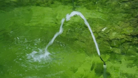 An arc-shaped water stream falls from a pipe into a bright green pond. 動画素材 346911331