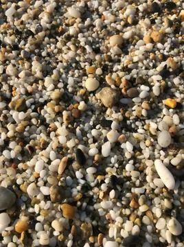 Arc of shells, beach color pebble. Red Sea Stock Photos