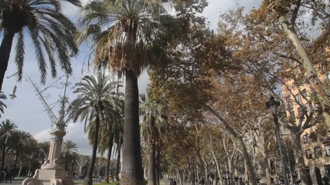 Arc Triomf palms pan Video stock 120417739