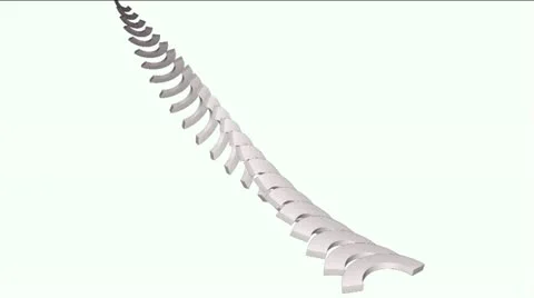 Arch math geometry array,conveyor belt &amp; stairs,computer tech web background. Stock Footage 11022721