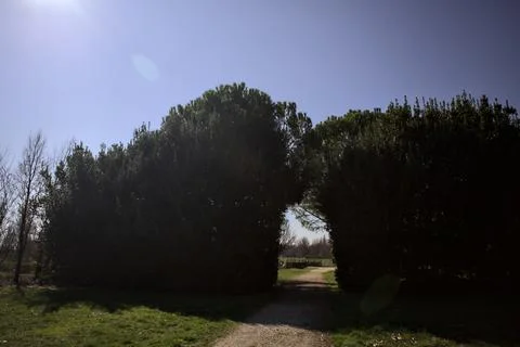 Arch opening in a hedge Stock Photos