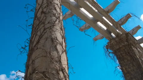 Arch place by danube. Stock Footage 252151856