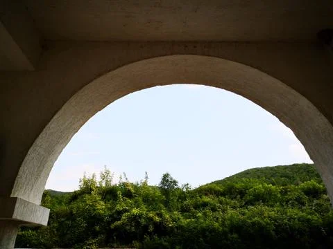 Arch Plant Architecture built structure Nature Tree no people sky day Low angle Foto stock