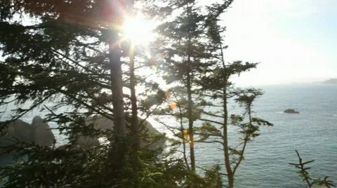 Arch rock-Big Web Stock-Footage 837282