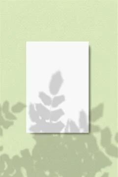 An arch-shaped sheet of white textured paper on a green wall background. Overlay Stock Illustration