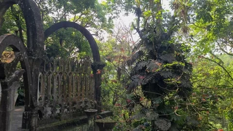 Arch-Shaped Structure in the Middle of the Jungle Stock Footage 249238794
