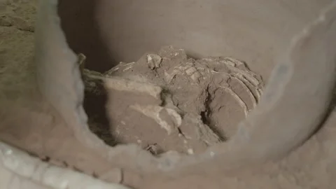 Archaeological bones discovery Stock Footage 151362041