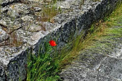 Archaeological Complex Abritus with primary conservation of  inner walls Stock Photos