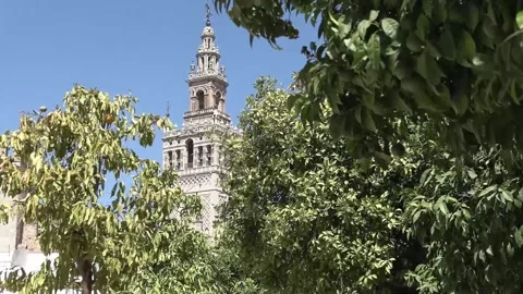 Archaeological crypt at Seville's Patio de Banderas to open to public, Seville,  Stock Footage 316218534