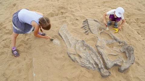 Archaeological excavation of dinosaur bones Stock Footage 65394239