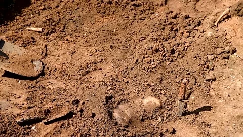 Archaeological excavations. Archaeologist working on human remains excavation Stock Footage 253085458