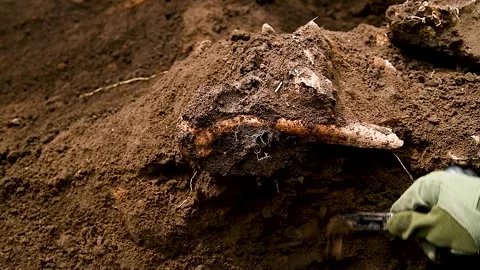 Archaeological excavations. Archaeologist working on human remains excavation 動画素材 253085471