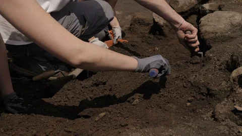 Archaeological excavations: archaeologists digging the earth Stock Footage 115545145