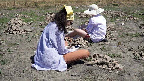 Archaeological excavations Stock Footage 112260612