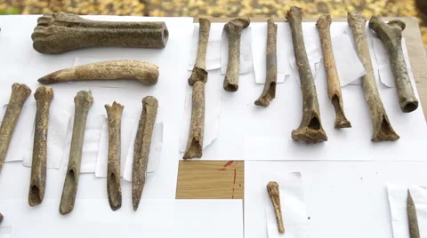 Archaeological excavations Human bones and pottery Stock Footage 57102715