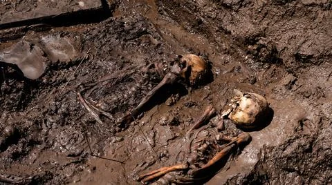 Archaeological find Photos