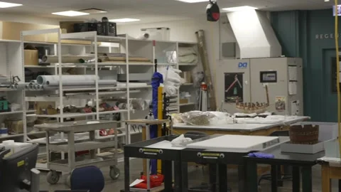 Archaeological scientific lab Stock Footage 165769695