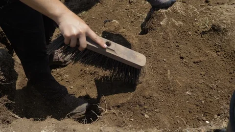 Archaeological site. archaeologists at work Stock Footage 113427202