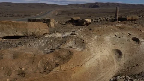 Archaeological site. Different types of stone monuments 動画素材 251545955