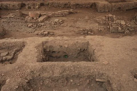 Archaeological site in Java Fotos Stock