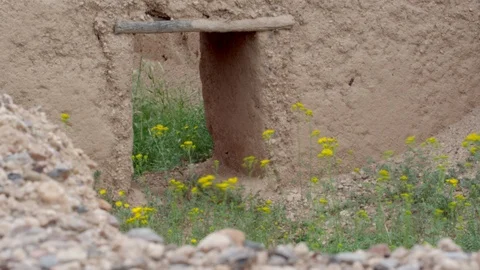 Archaeological Zone of Paquime Stock Footage 96200212