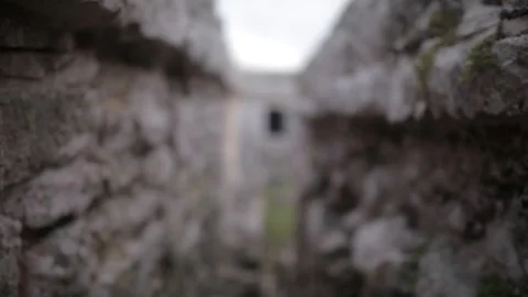 Archaeological zone of Tulum 13 Stock Footage 95642651